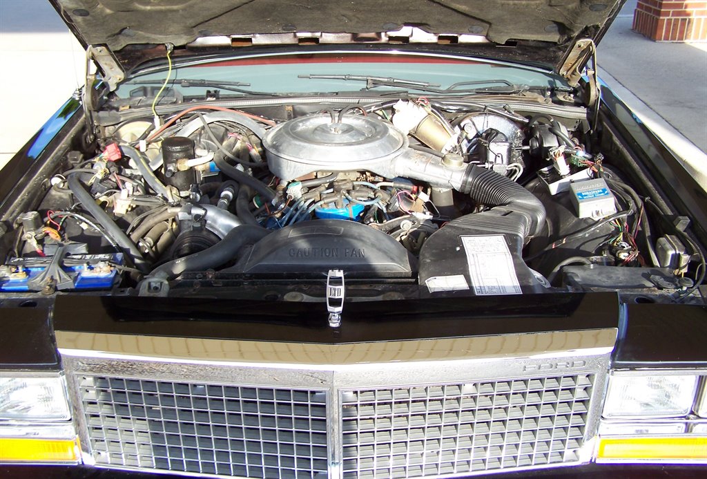 1981 Ford LTD - Photo 50