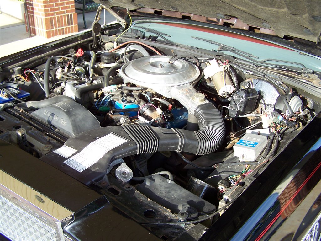 1981 Ford LTD - Photo 51
