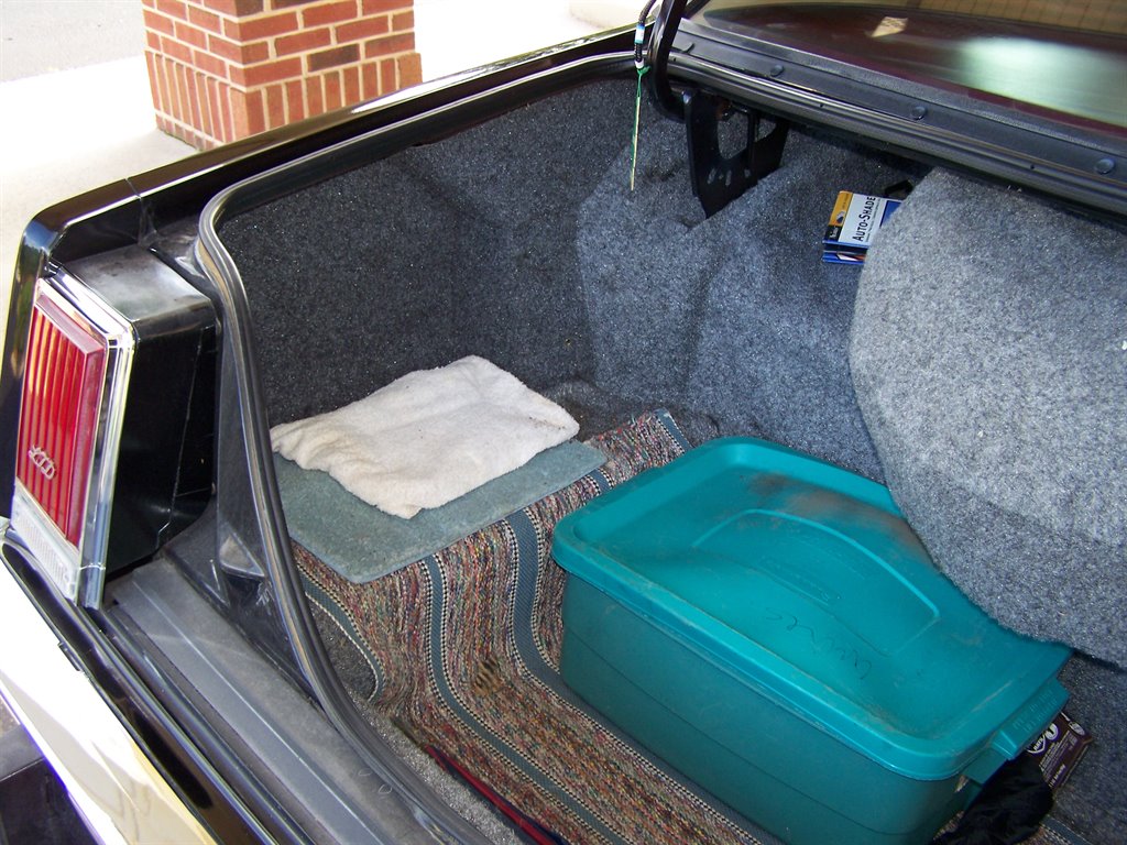 1981 Ford LTD - Photo 112