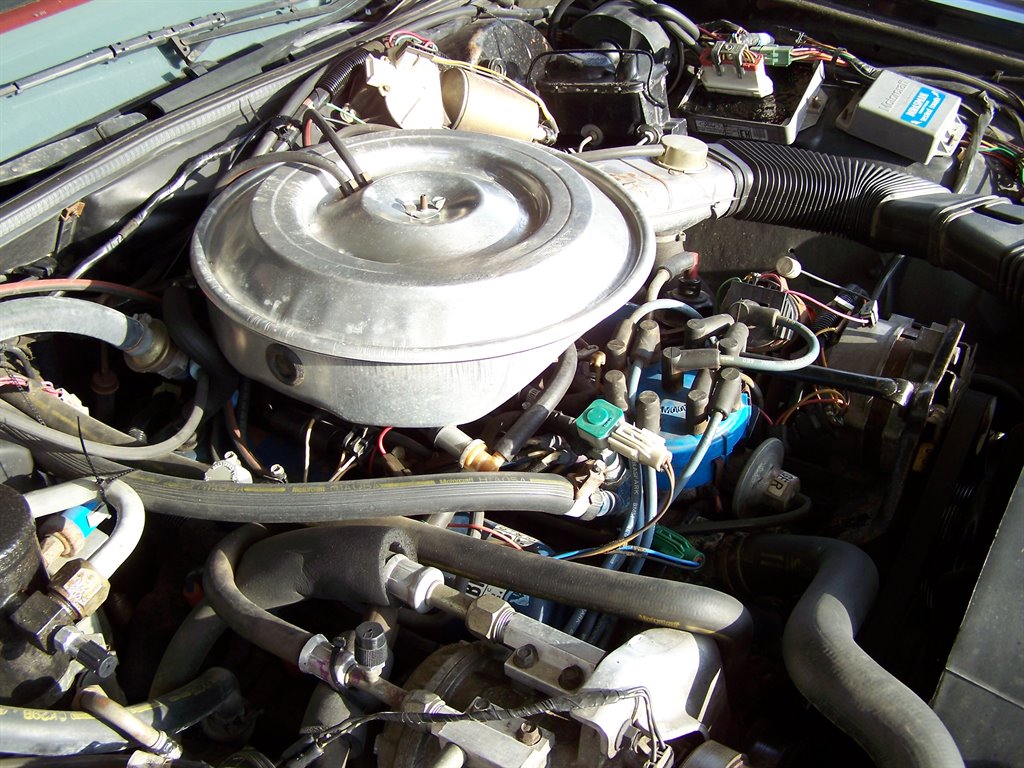1981 Ford LTD - Photo 53