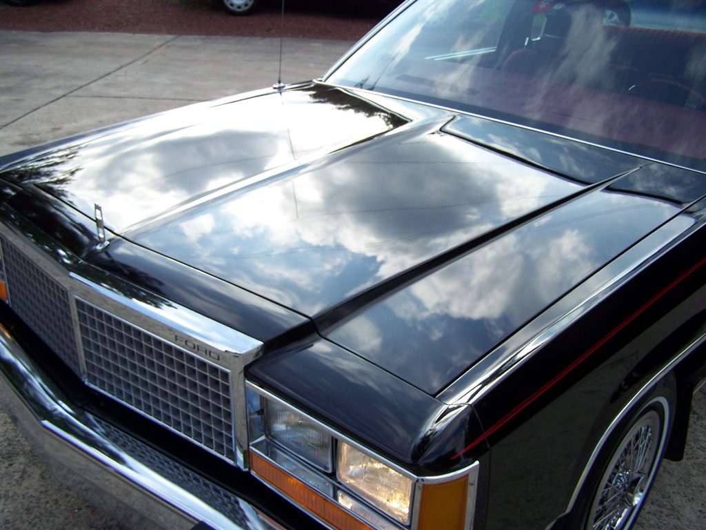1981 Ford LTD - Photo 46