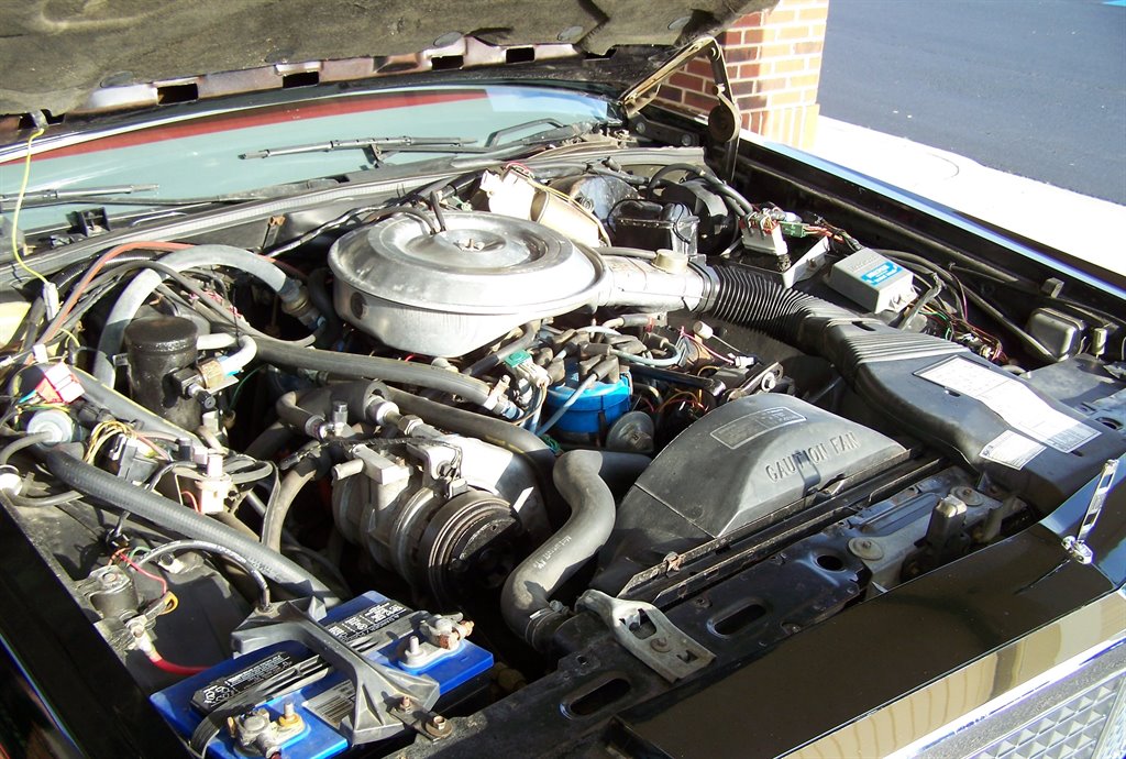 1981 Ford LTD - Photo 52